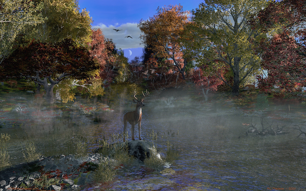 Wallpaper - Autumn Pond Morning